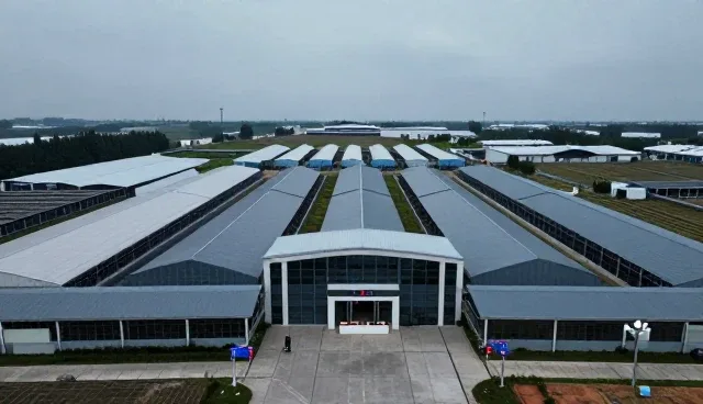智慧养殖系统如何推动种植技术指导的升级与普及