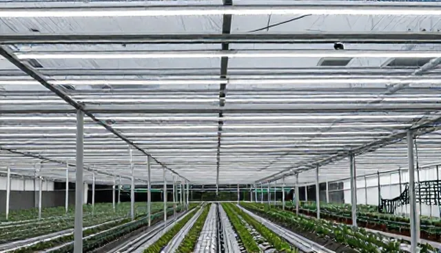 种植技术指导的适用情况与限制分析